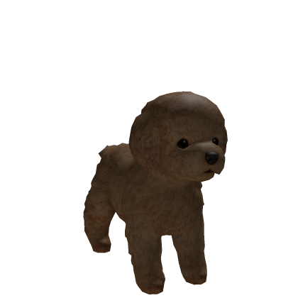 Terrier Puppy