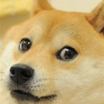Dogee Gang