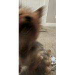 wowoowowoowow