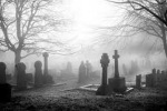 Graveyard <~>