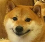 Doge clan games