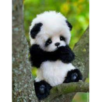 Panda friend forever!!