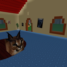 Cat Hangout