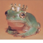 Little froggyer