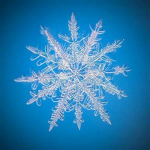 Icy Airlines (Dungeon Quest)