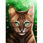{Warrior cats fan group!}