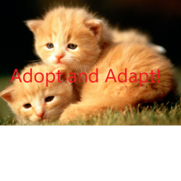 Adopt and Adapt (New Update)!