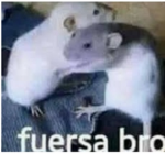 Un grupo chido xd
