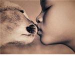 Association of Animal Care taking Lovers