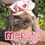 •meraki•