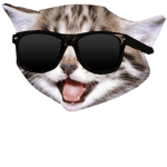 kittens r gr8