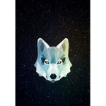 Galaxy Wolves.