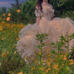 softdoll clothing