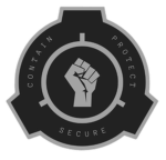 ACF || Mobile Task Forces