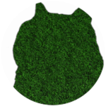 Hedge Doge