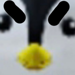 The Penguin Clubz