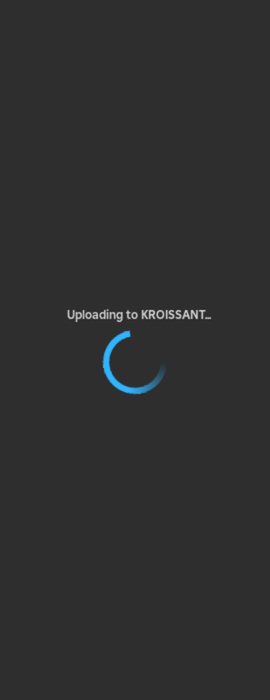 Bulk Animation Upload preview 4