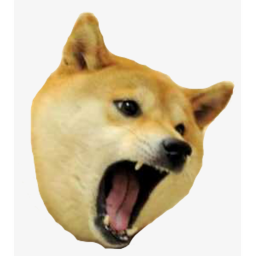 DOGE kinGDOM