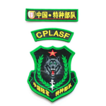(PSF) PLA Special Forces ｜江西特种部队