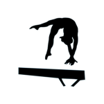 Revolution Gymnastics.