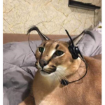 Hunter_gamer YT