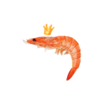 Shrimp Skill Circle
