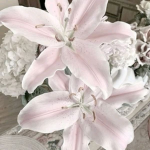 ~_Hearts4Bee_~