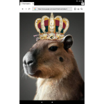 CAPYBARA FAM CLUB