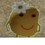 da real co_op