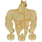 Buff doge fan club
