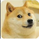 DoGe Life for ever!