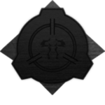 RSF : Unusual Incidents Unit