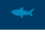 The sharks :3