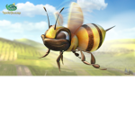 TEAM BEE!!!!!