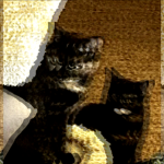 MOIRE ARCHIVE