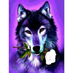 daaa wolves