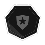 NI// SECURITY INTERVENTIONS CORP