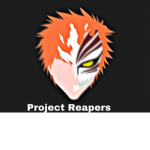 Project Reapers (Bleach)