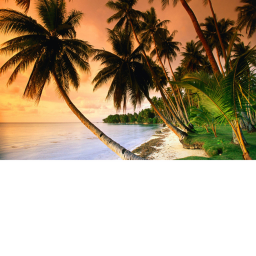 Group beach.