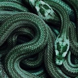 💚