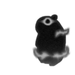 Infinitude Chomik