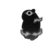 Infinitude Chomik