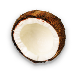 Master coconut
