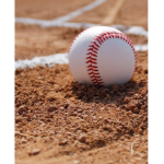 LOS PROS YANKEES