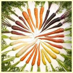 Carrot act'# interview central