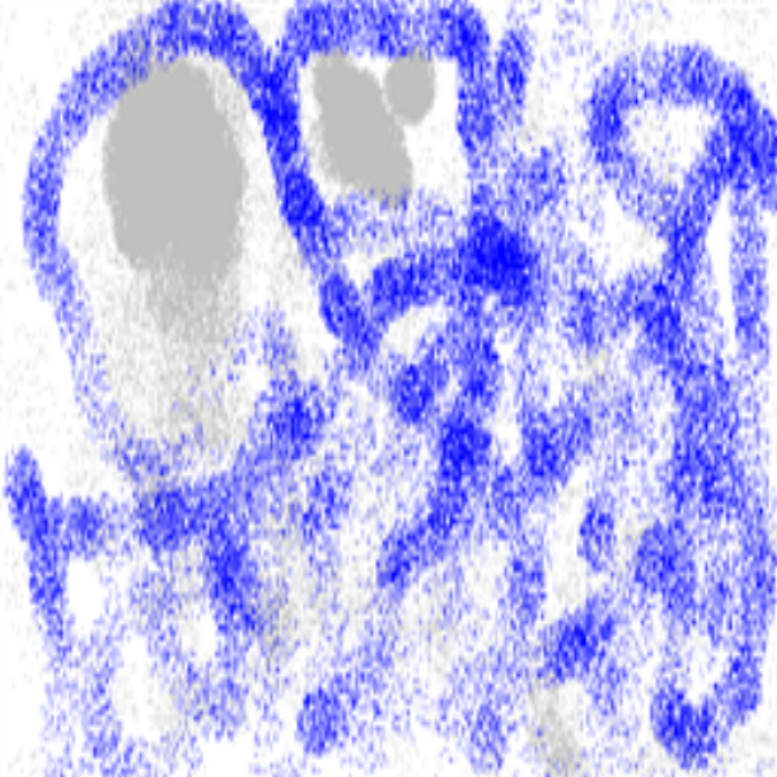 cut jj5x5 Roblox decal