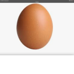 EGG GROUP !!!!!!