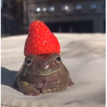 Yes frogs amazin