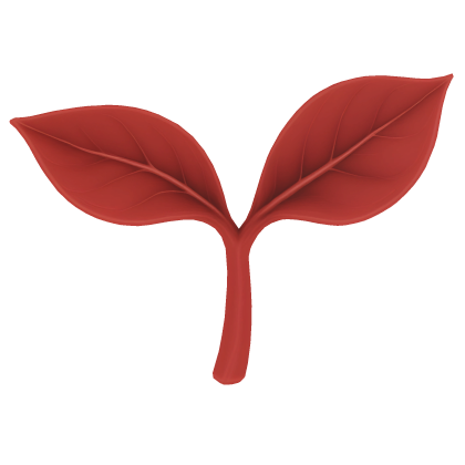 Red leaf sprout