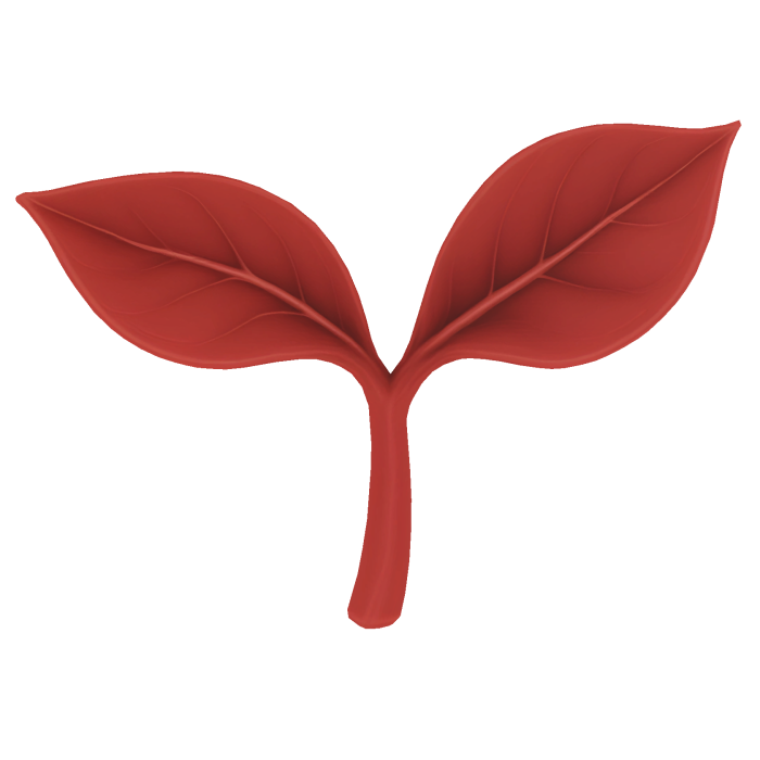 Red leaf sprout